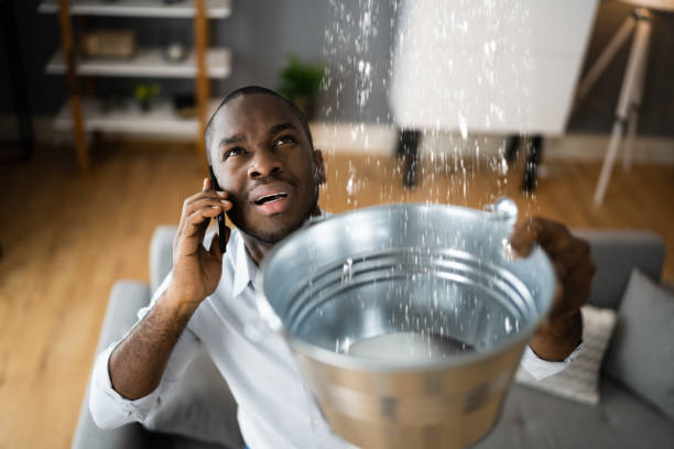 Best Water damage contractors near me  in Sedalia, MO