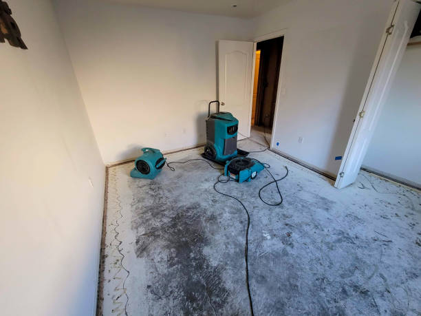 Best Ceiling water damage repair  in Sedalia, MO