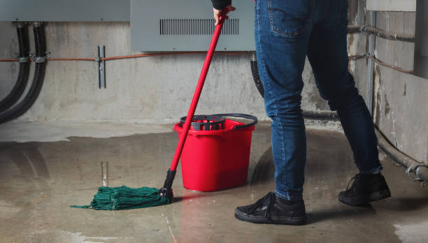 Best Residential water damage restoration  in Sedalia, MO