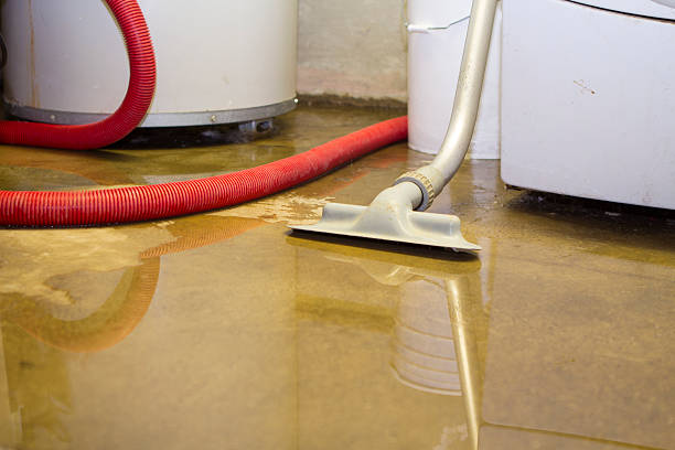 Best 24/7 water damage repair  in Sedalia, MO