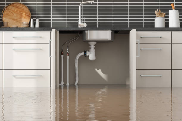 Best Professional water damage repair  in Sedalia, MO